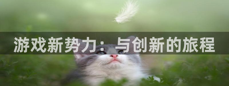 完美电竞官网品牌logo：游戏新势力：与创新的旅程