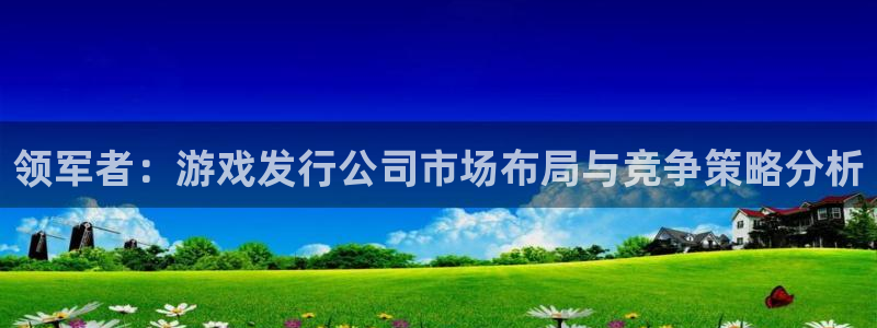 江苏完美电竞官网智得新材料有限公司：领军者：游戏发行公司市场布局与竞争策略分析