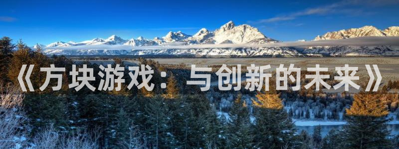 完美电竞官网多少钱：《方块游戏：与创新的未来》