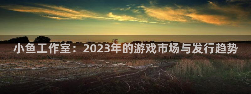 完美电竞官网注册账号是什么：小鱼工作室：2023年的游戏市场与发行趋势
