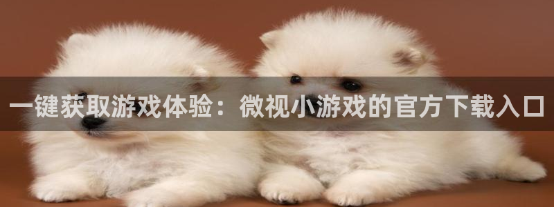 完美电竞官网工坊：一键获取游戏体验：微视小游戏的官方下载入口
