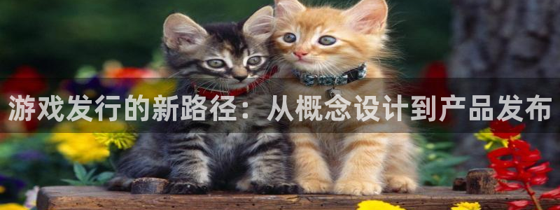 完美电竞代理开号平台