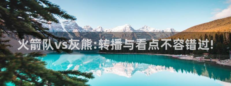 nba直播吧无插件直播免费观看：火箭队vs灰熊:转播与看点不容错过!
