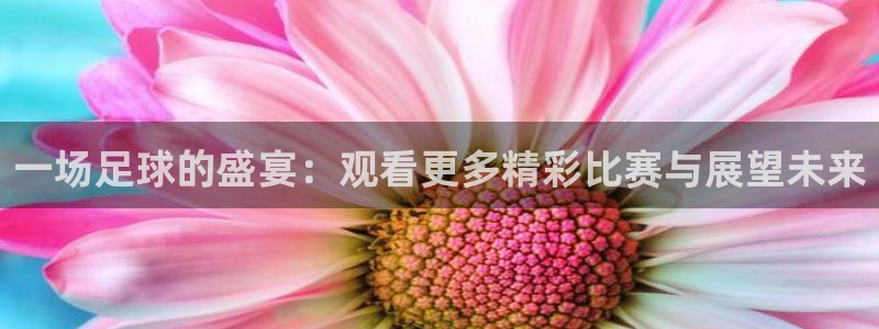 jrs直播吧体育：一场足球的盛宴：观看更多精彩比赛与展望未来
