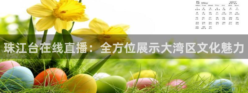 直播吧篮球