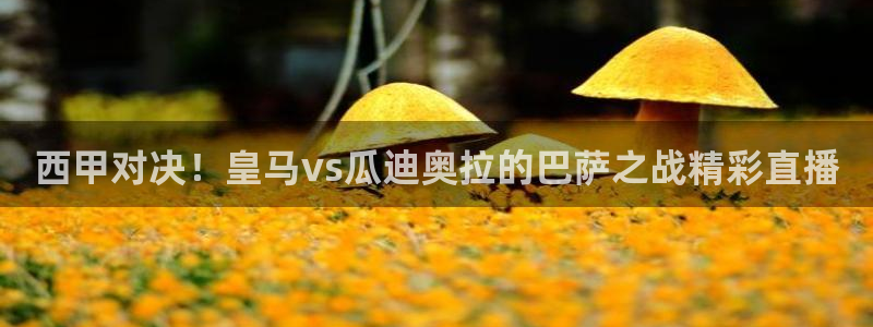 快速体育nba直播吧：西甲对决！皇马vs瓜迪奥拉的巴萨之战精彩直播