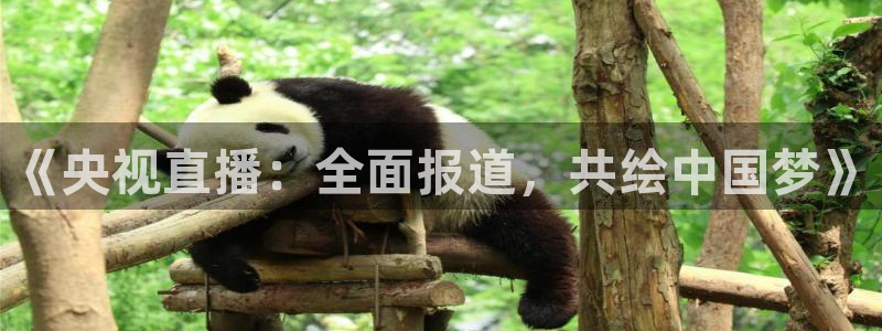 篮球比赛视频直播在线观看直播吧：《央视直播：全面报道，共绘中国梦》
