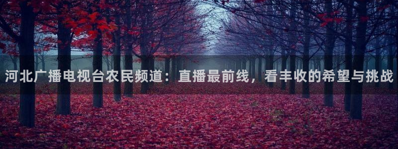 直播吧jrs直播吧：河北广播电视台农民频道：直播最前线，看丰收的希望与挑战