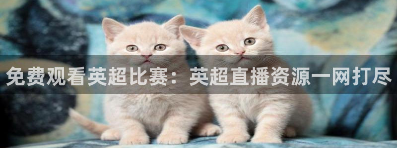 直播吧免费足球直播：免费观看英超比赛：英超直播资源一网打尽
