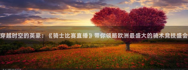 nba极速体育直播吧体育直播：穿越时空的英豪：《骑士比赛直播》带你领略欧洲最盛大的骑术竞技盛会