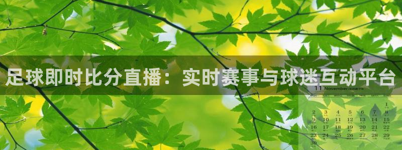 体育8直播吧