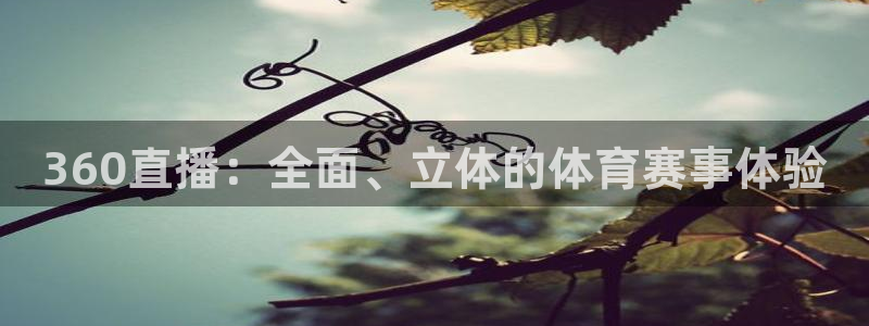 24h直播吧：360直播：全面、立体的体育赛事体验